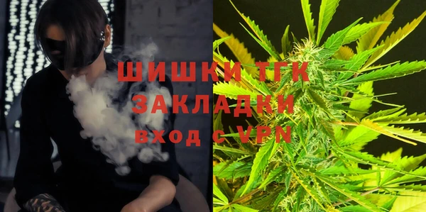 твердый Алзамай