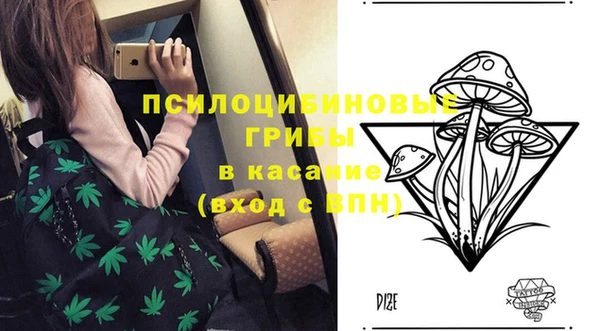 твердый Алзамай