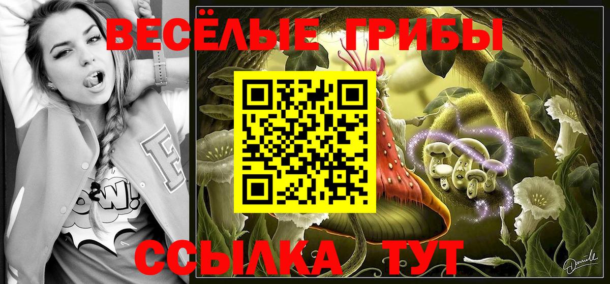 Меф МЯУ МЯУ кристаллы  Борзя  ГАШ  МДМА  Вход с VPN  Бошки Шишки  А ПВП СК кристаллы  ГАШИШ 