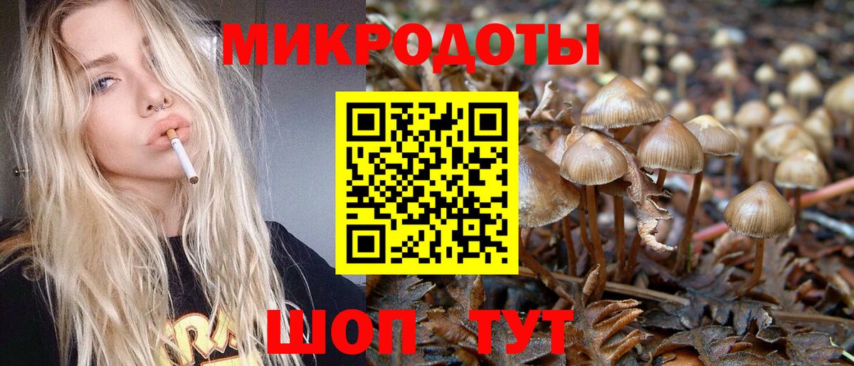 Псилоцибиновые грибы Psilocybe  Вход с VPN  Борзя 